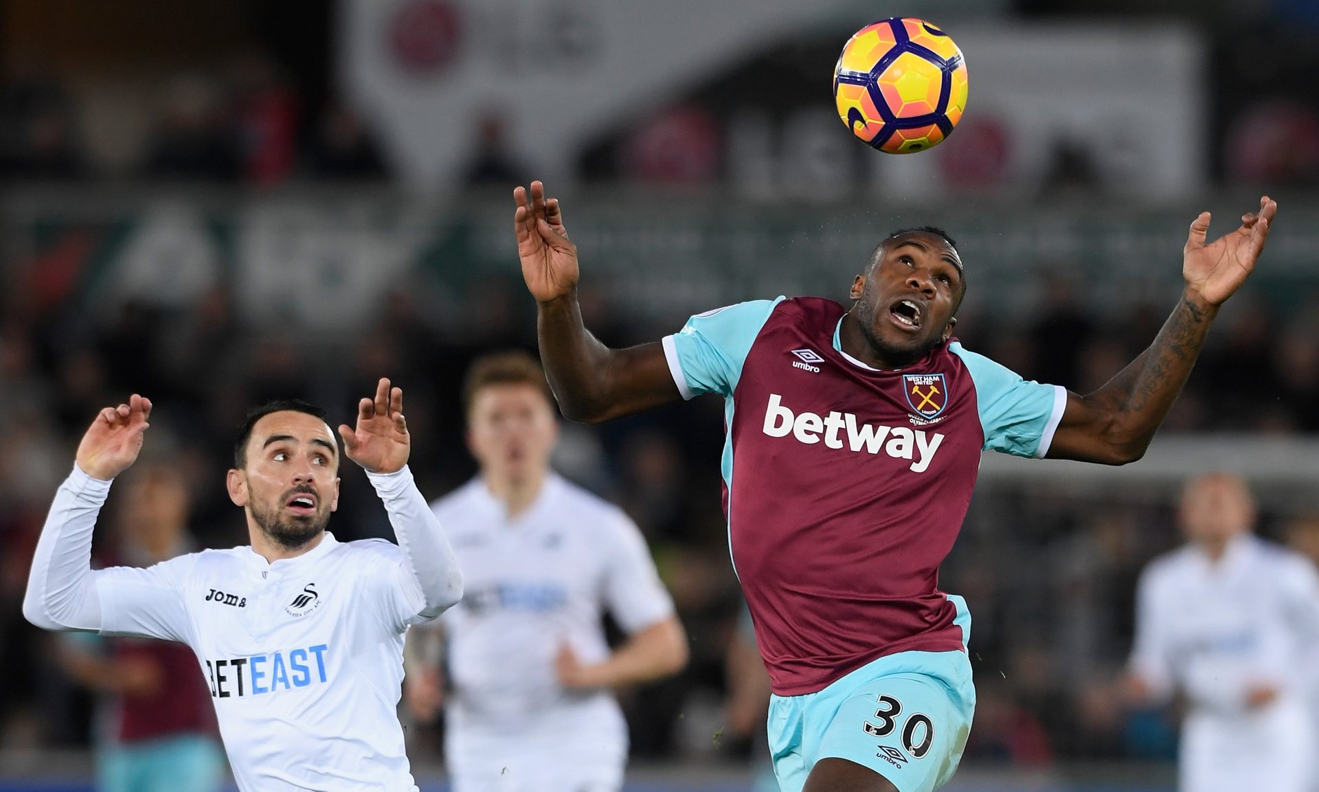 賽季的本菲 賽季的本菲